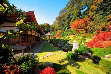 浜松市にある龍潭寺