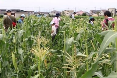 過去開催時の様子１