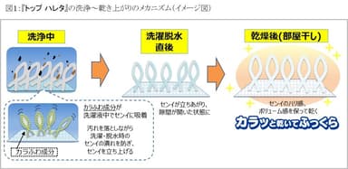 図1：『トップ ハレタ』の洗浄～乾き上がりのメカニズム(イメージ図)