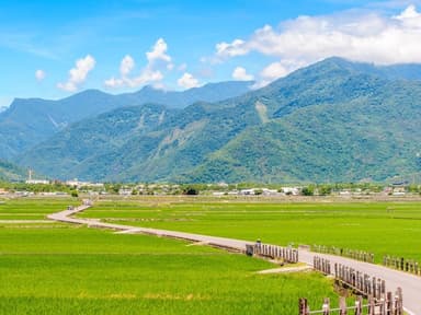 池上米の郷　稲穂の香りを感じてのサイクリング。