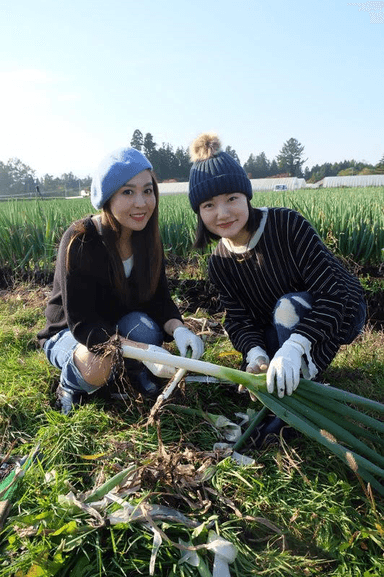 開催イメージ(3) (青森県との共同プロジェクト時の様子)