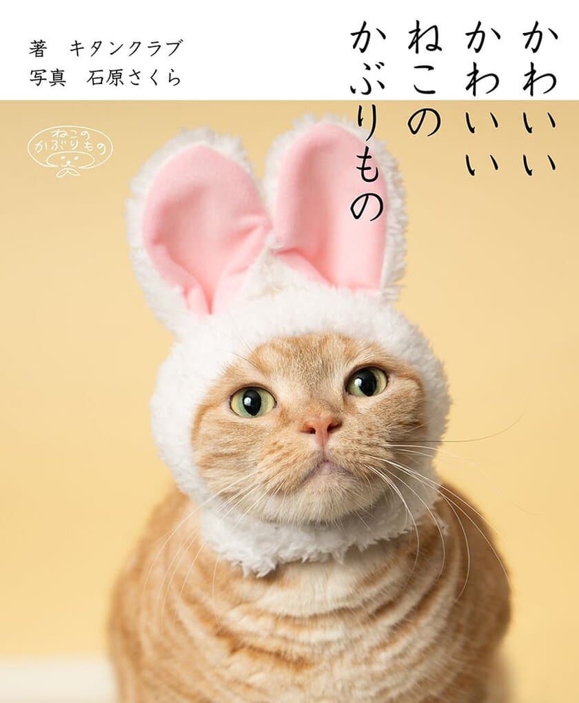 500万個突破の人気カプセルトイ「ねこのかぶりもの」
初の猫写真集を8月1日発売