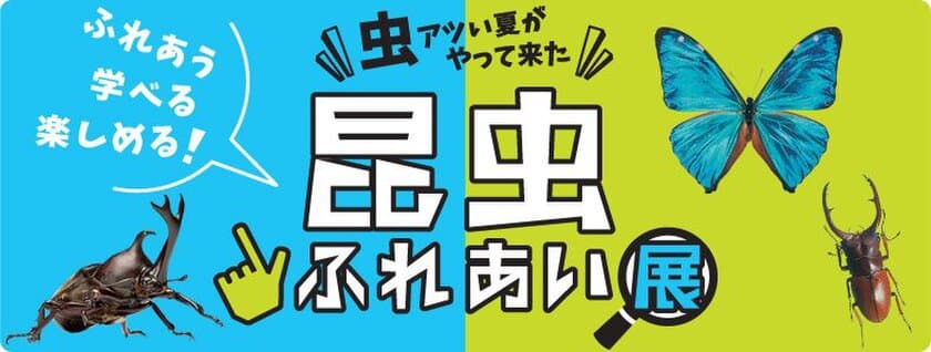 “虫アツい夏”に、驚きと発見を体感！
小田急百貨店新宿店「昆虫ふれあい展」8月14日から開催
