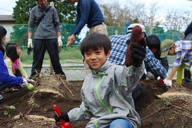 昨年度いもほり体験　開催時の様子