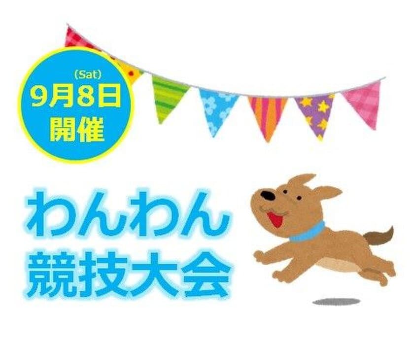 ワンちゃんと一緒に参加できる『わんわん競技大会』や
家族で参加ができる『似顔絵イベント』を開催