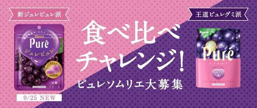 カンロの“新ジュレピュレ”と“王道ピュレグミ”の違いを楽しむ
「ピュレソムリエ」大募集！
食べ比べチャレンジキャンペーン！
