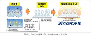 図8：『トップ ハレタ』の洗浄～乾き上がりのメカニズム(イメージ図)