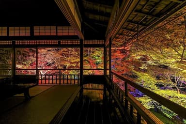 昨年の夜間特別拝観時の瑠璃光院