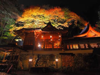 貴船神社本宮社殿