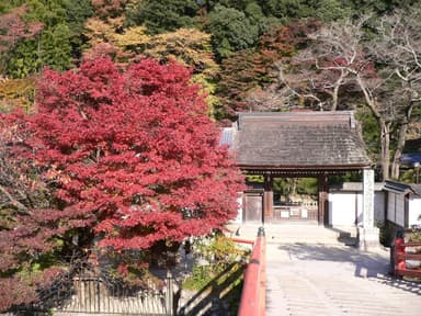 室生寺