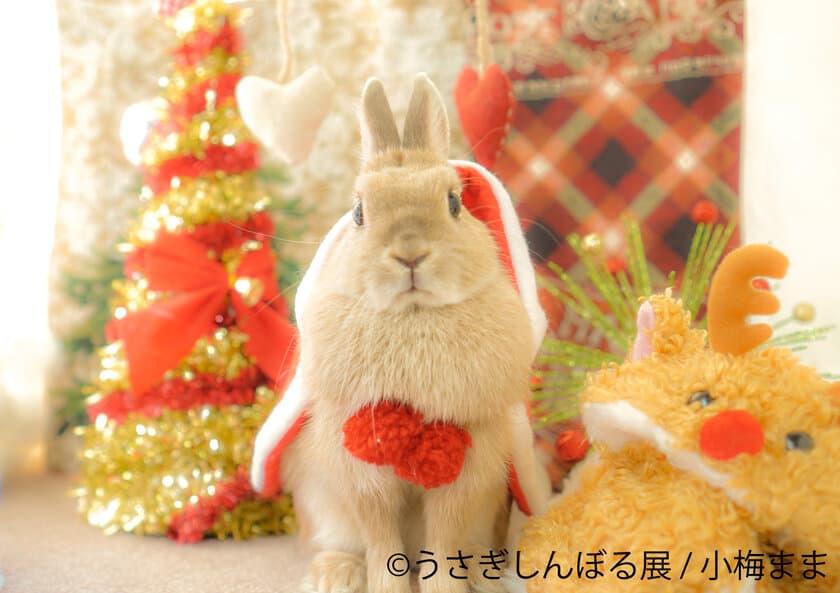 うさぎのモフモフで冬をのり切る！癒しのXmas開催が決定　
過去最大作品数「うさぎしんぼる展」東京・新橋(12/15～25)