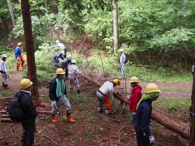 岡谷市（湊財産区）での森林づくり活動