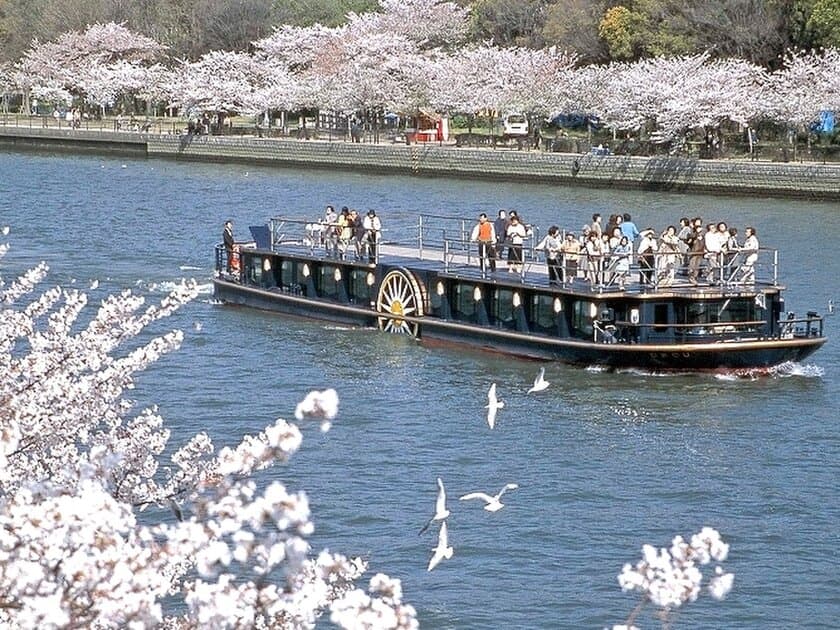 優雅なクルーズ船ひまわりで巡る
「桜スペシャルクルーズ」を運航します。