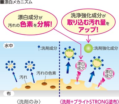 漂白メカニズム