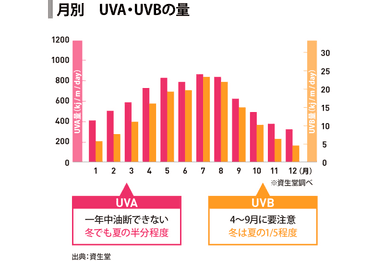 月別  UV-A&#44;UV-Bの量