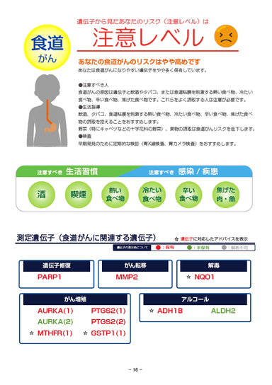 結果報告書のイメージ