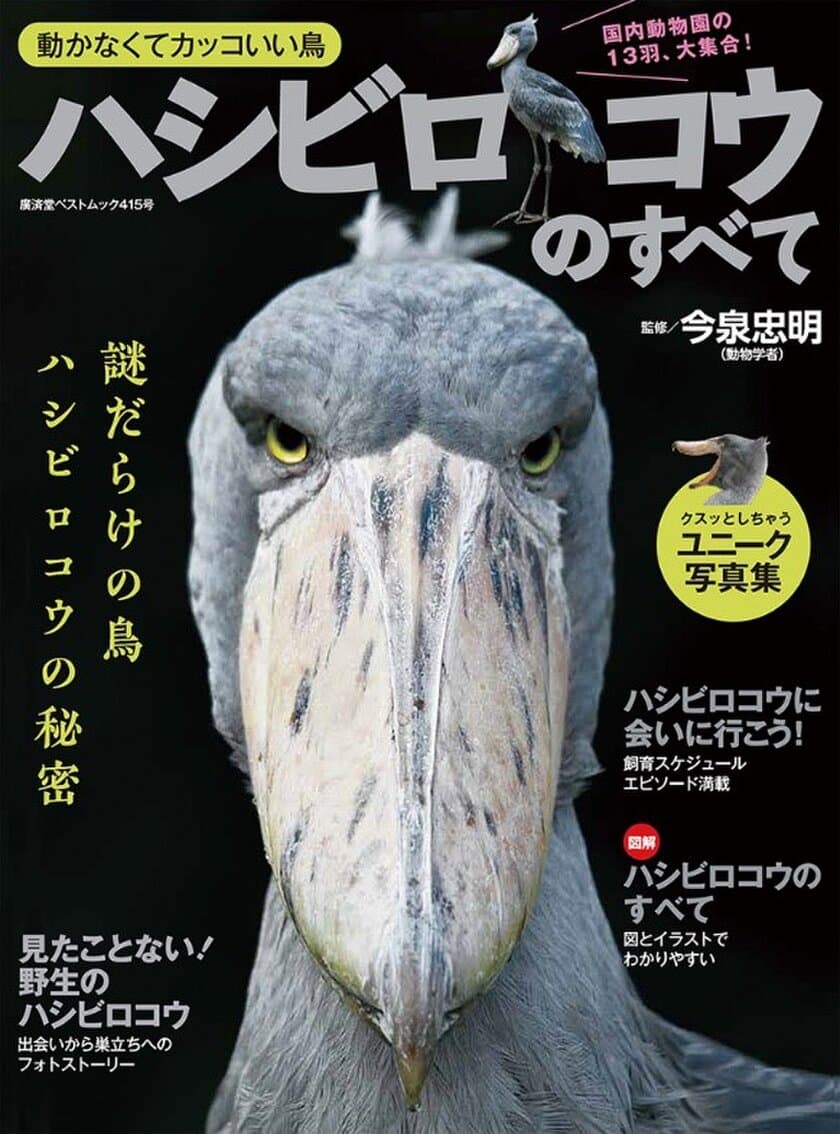 大人気の「ハシビロコウ」でまるまる一冊　
廣済堂ベストムック「ハシビロコウのすべて」　
2019年5月30日(木)全国書店で発売スタート