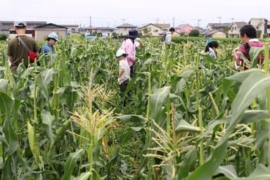 過去開催時の様子２