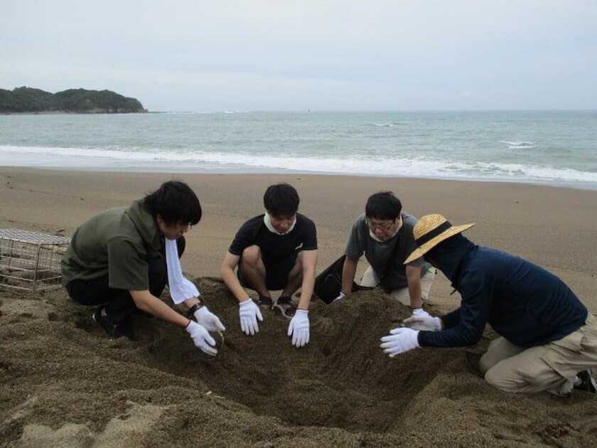 ライオンの生物多様性保全活動への取り組み　
和歌山県みなべ町で、10年目を迎える
「アカウミガメ」の保護活動を実施