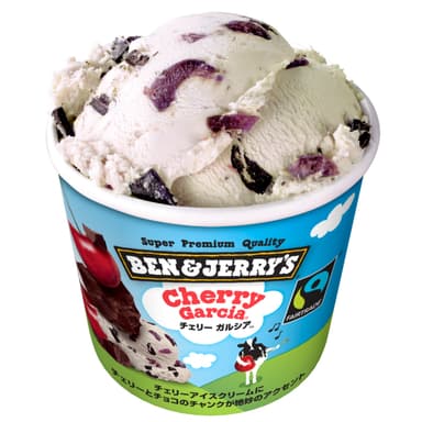 SPA2015大賞授賞商品(BEN & JERRY’S　アイスクリーム、BEN & JERRY'S(ベン＆ジェリーズ))