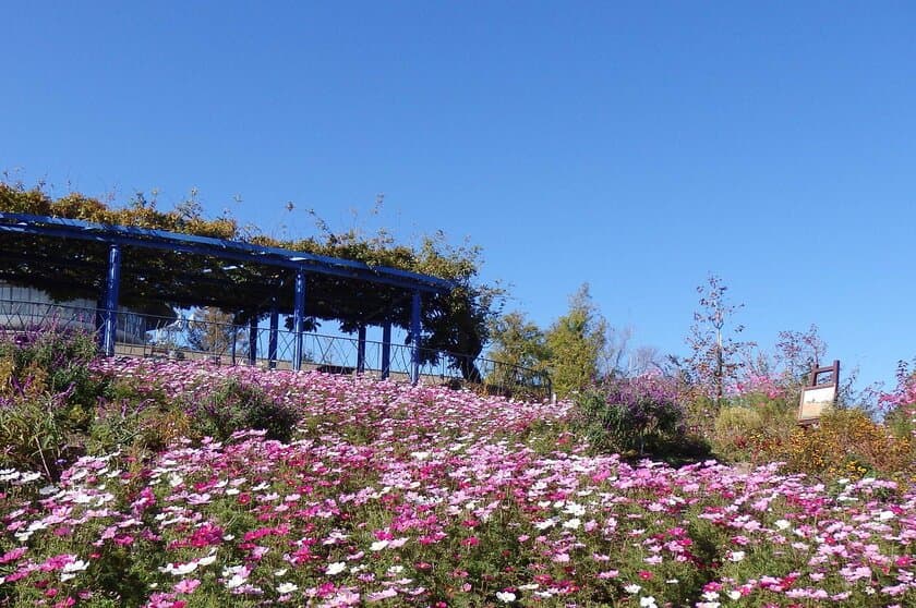 印象派の庭園　～小さな秋を探しに～
秋のイベント情報のお知らせ