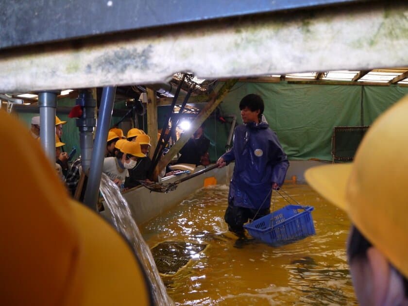 愛媛の小学生がヒラメを校内養殖！
“陸上養殖”プロジェクト「お魚受け入れ式」を開催