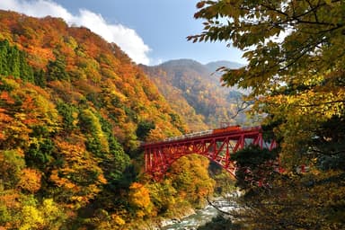 新山彦橋を渡るトロッコ電車