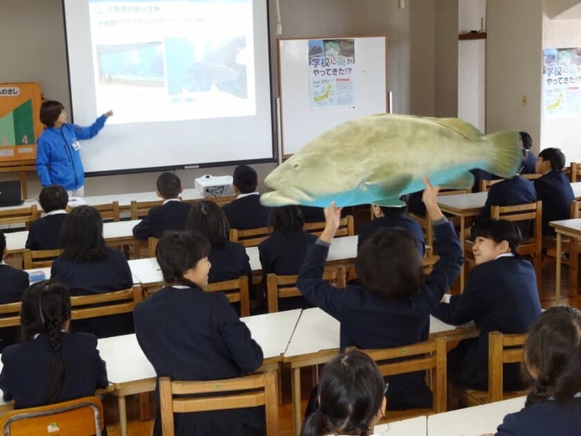 長崎の小学生がクエを校内養殖！
“陸上養殖”プロジェクト「お魚受け入れ式」を開催