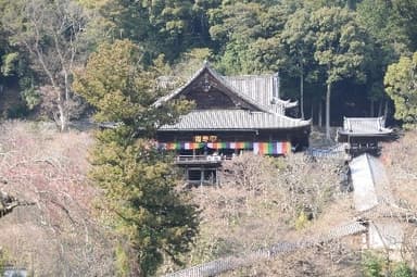 長谷寺