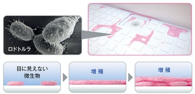 ピンク汚れの図