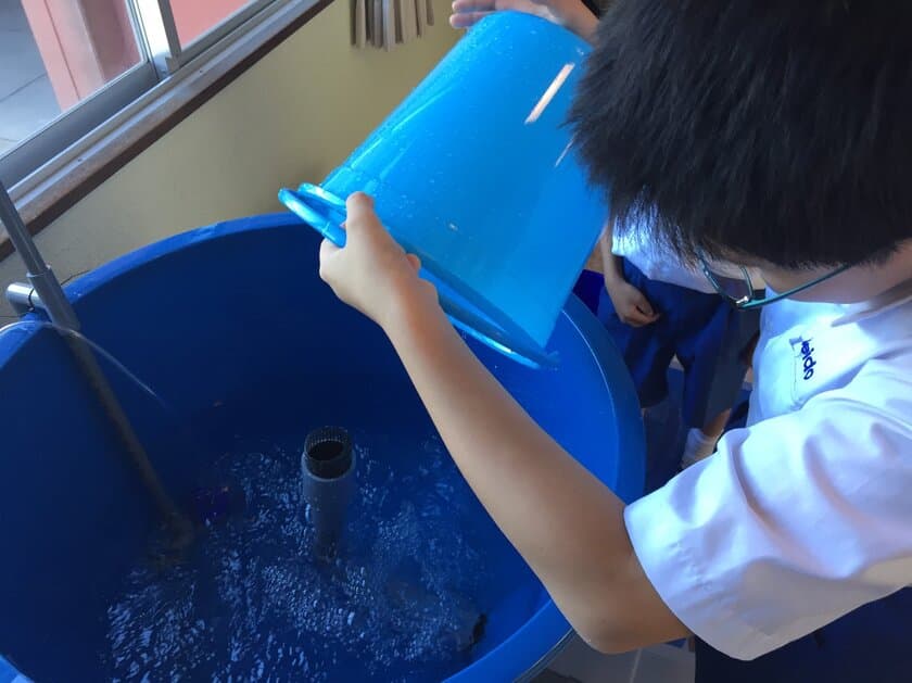 子どもの心の葛藤「命を頂くこと」の意味を考える
長崎の小学生　陸上養殖したクエの今後を議論