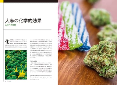 『マリファナ 世界の大麻最新事情』