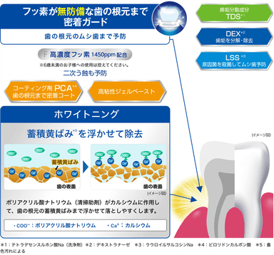 ＋ホワイトニング  イメージ