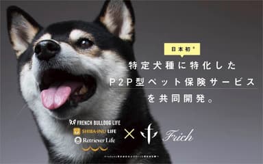 特定犬種に特化したP2P型ペット保険