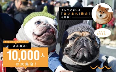 rakanu犬種特化イベント