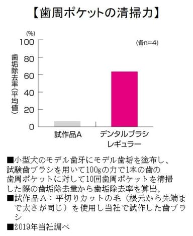 歯周ポケットの清掃力