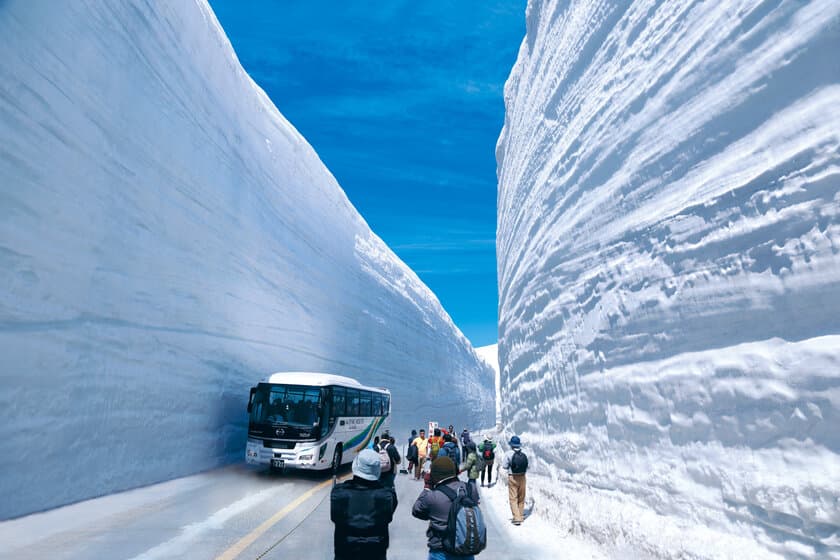 春の人気イベント「立山黒部・雪の大谷フェスティバル」開催！
エリア拡大や乗車券が当たる雪の大谷高さ予想キャンペーンも実施