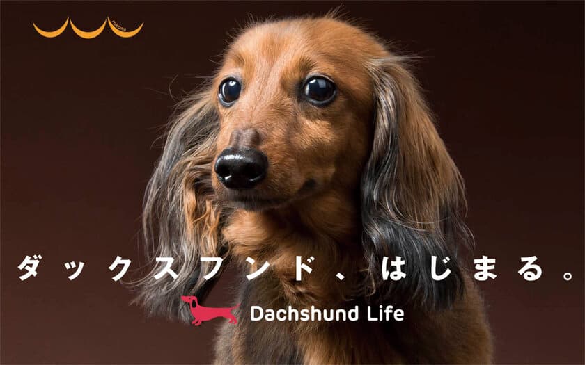 rakanu、犬種特化メディア第4弾、ダックスフンドに特化したメディア「Dachshund Life」をオープン