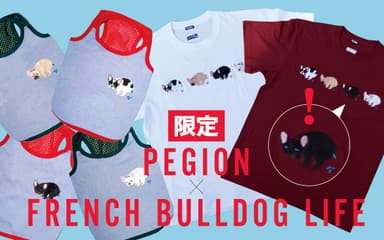 FRENCH BULLDOG LIFE×PEGION