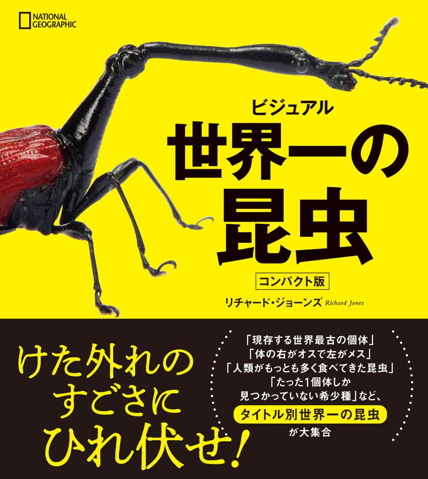 『ビジュアル 世界一の昆虫 コンパクト版』
発売中！