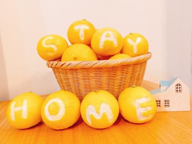 ITO STAY HOME PROJECT 04