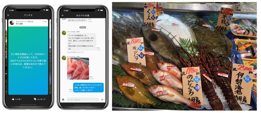 STAY HOMEに、いつもと違う旬の鮮魚でわくわくをプラス！
スーパーが全国の産地へ鮮魚をリクエストできる「アンテナ」始動