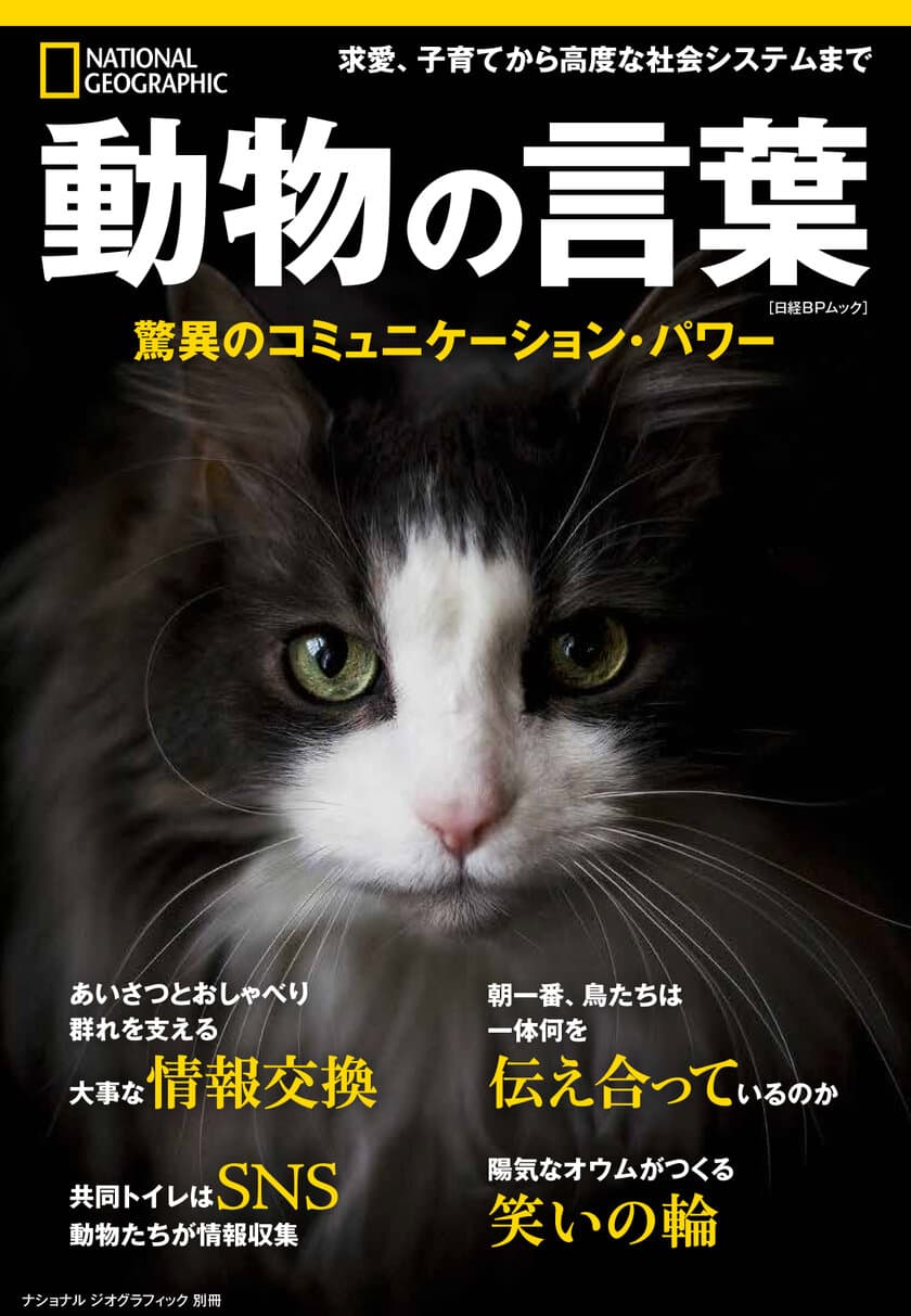 ビジュアル書籍
『動物の言葉 驚異のコミュニケーション・パワー』