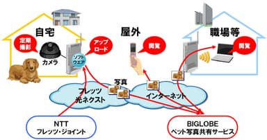 利用イメージ