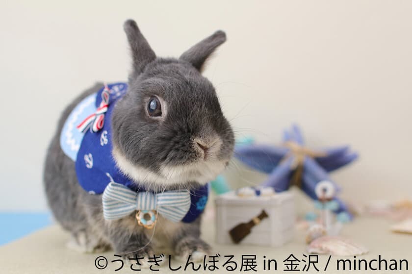 北陸地方初上陸！うさぎ 夏の祭典＆精巧なミニチュアの世界が
楽しめる「うさぎしんぼる展」「ミニチュア写真の世界展」　
金沢フォーラスで開催！夏休みの思い出に♪癒しと驚きを