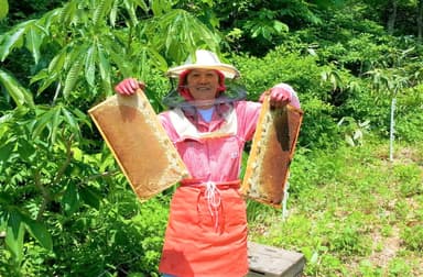 「雅蜂園」大塚社長