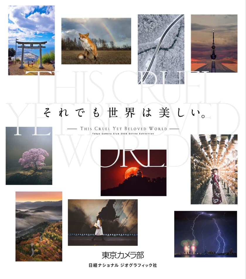 東京カメラ部 公式写真集
『それでも世界は美しい。』
9月23日（水）発売