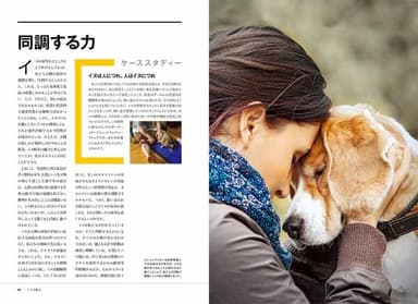 『犬の能力」中面