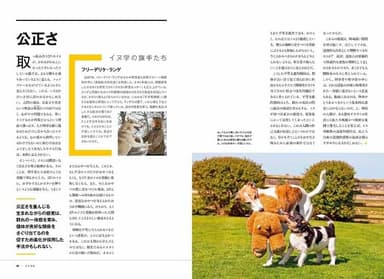 『犬の能力」中面