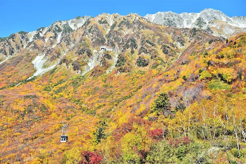 立山黒部アルペンルート　紅葉シーズンスタート　
～本州一番乗り！富山県と長野県を結ぶ～